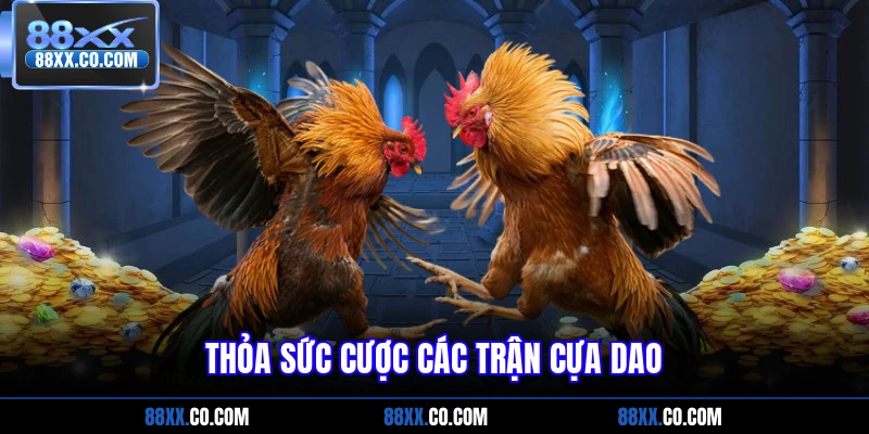 Thỏa sức cược các trận cựa dao
